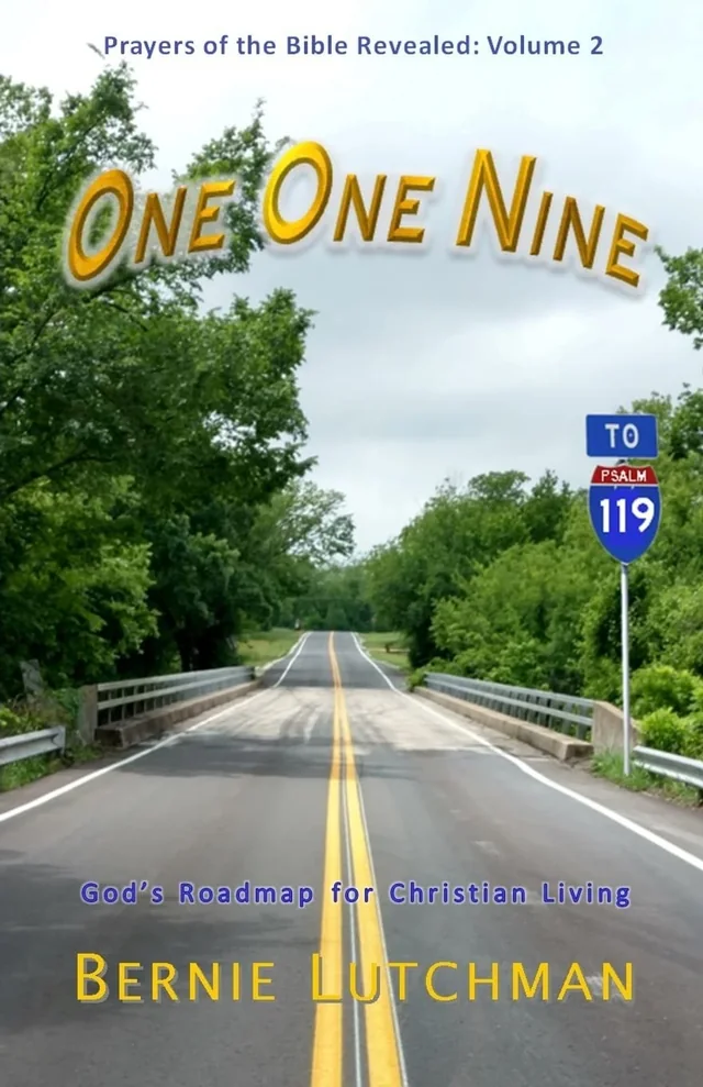 Cover of One One Nine by Bernie Lutchman